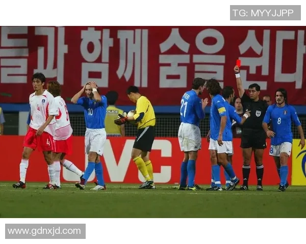 北京排球队在世界杯预选赛中的拼搏历程与荣耀追寻