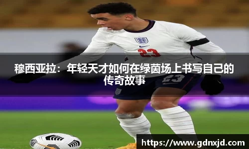 333官网