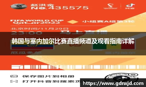 韩国与塞内加尔比赛直播频道及观看指南详解