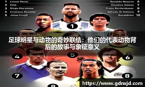足球明星与动物的奇妙联结：他们的代表动物背后的故事与象征意义